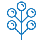 Pollination Services